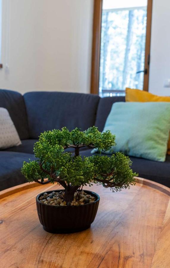 Apartman Pavle Златибор Екстериор снимка